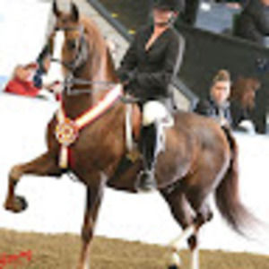 Meet your Posher, Lori